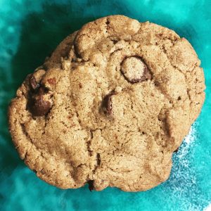 A single chewy chocolate chip cookie on a green background.