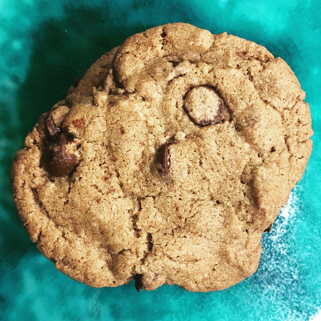 A single chewy chocolate chip cookie on a green background.
